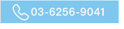 電話番号:03-6256-9041