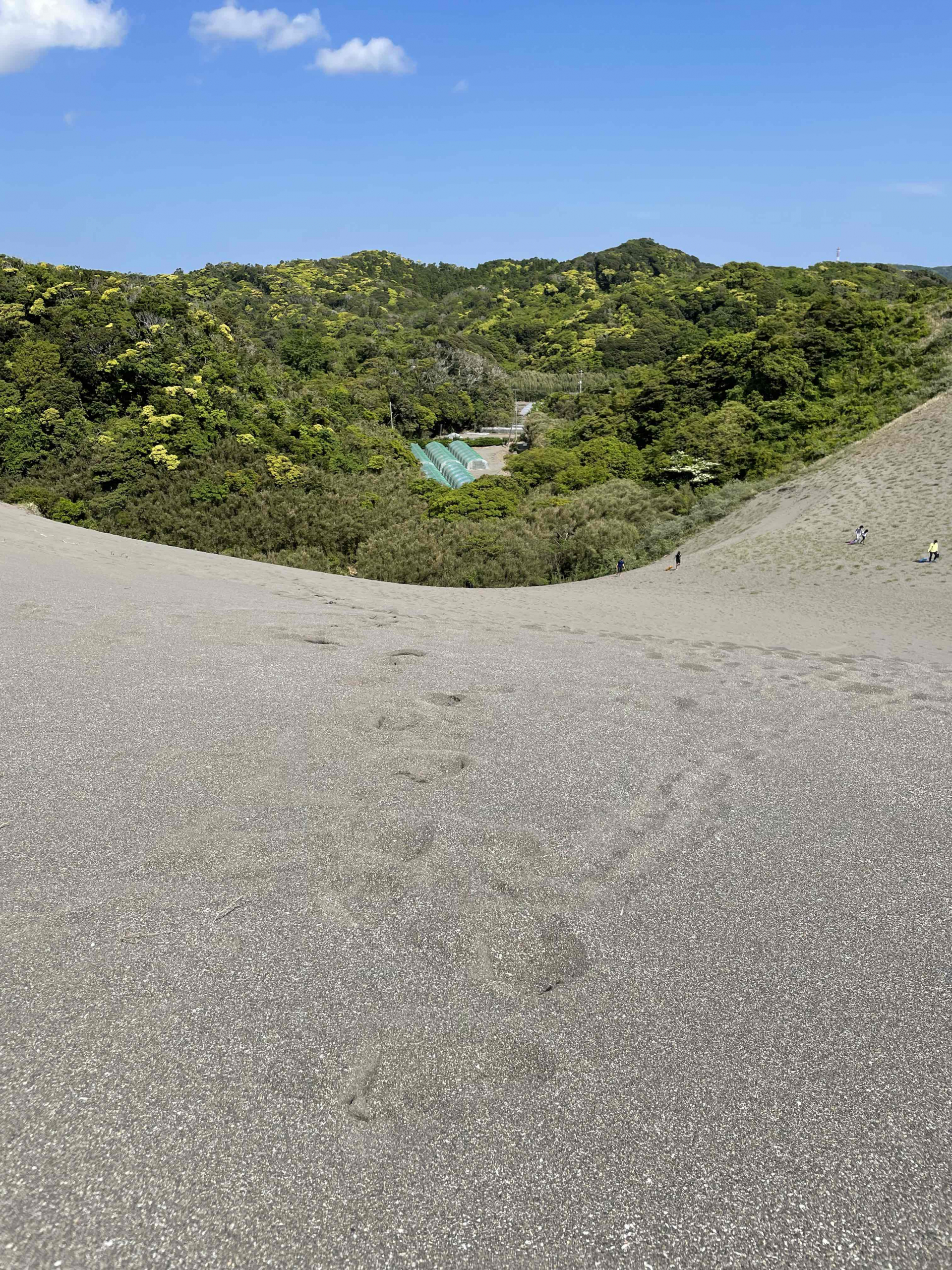 砂山 | グラフィックデザイン制作の株式会社コアーズ